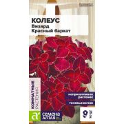 Цветы Колеус Визард Красный бархат/Сем Алт/цп 5 шт.