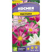 Цветы Космея Ракушка/Сем Алт/цп 0,3 гр.