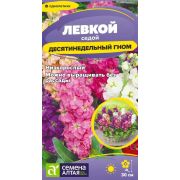 Левкой Десятинедельный гном седой/Сем Алт/цп 0,05 гр.