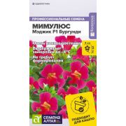 Мимулюс Мэджик F1 Бургунди/Сем Алт/цп 7 шт.