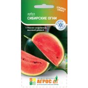 арбуз Сибирские огни