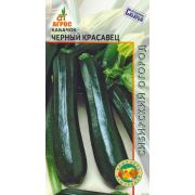 кабачок Черный красавец