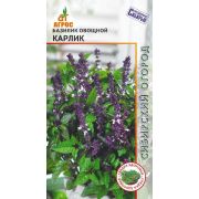 базилик Карлик