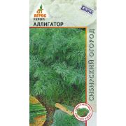 укроп Аллигатор
