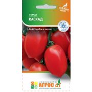 томат Каскад